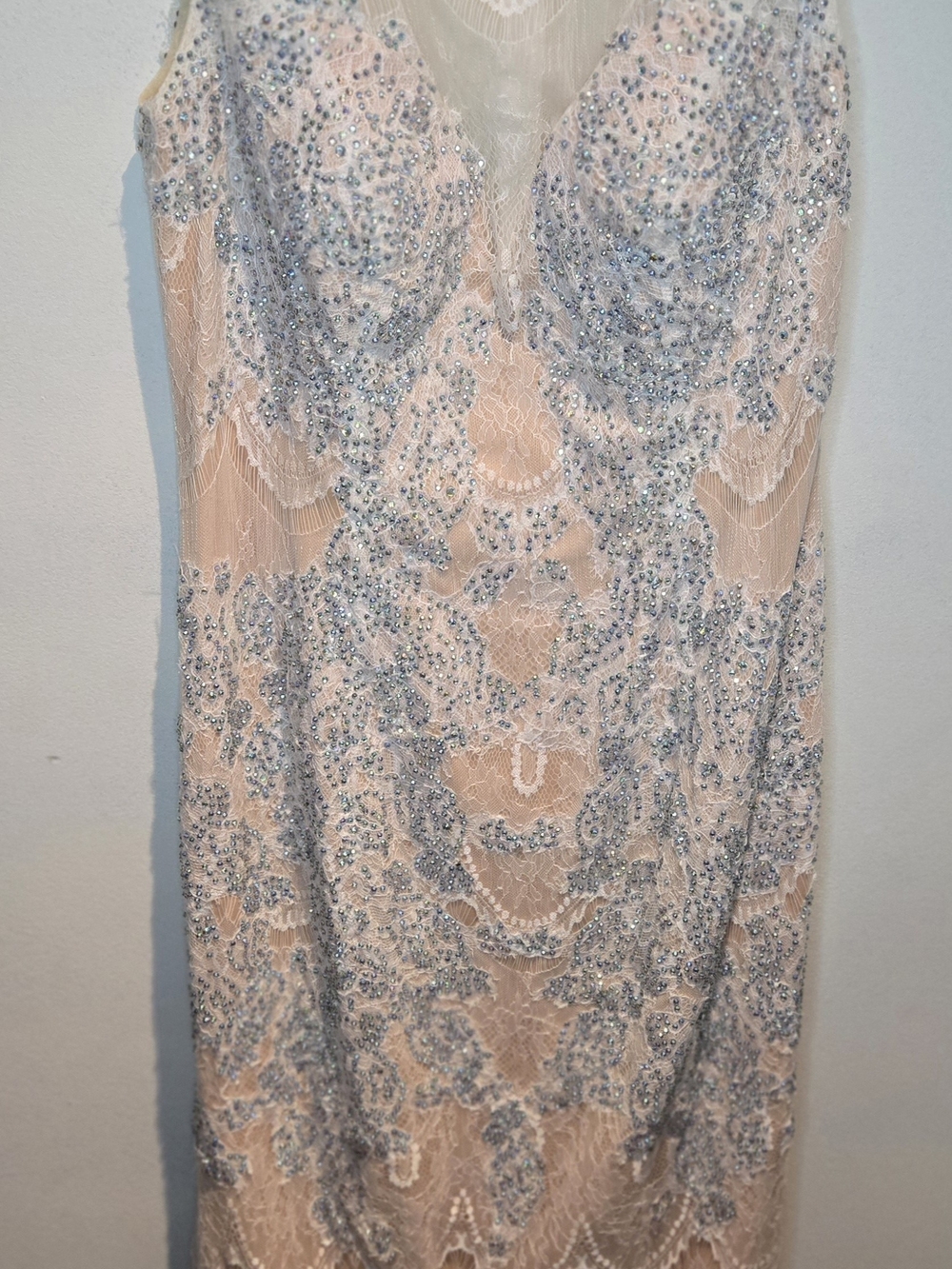 Beaded Lace Evening Dress - Blush with Silver Accents
